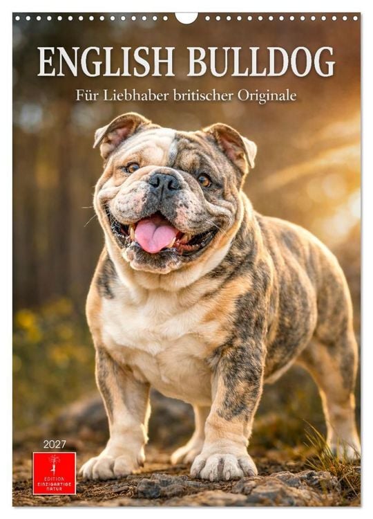 Produktbild: English Bulldog - F&uuml;r Liebhaber britischer Originale (Wandkalender 2027 DIN A3 hoch), CALVENDO Monatskalender