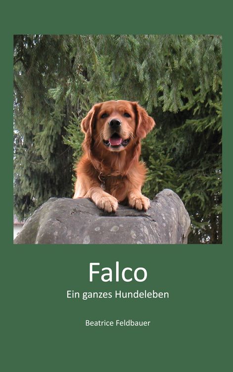 Produktbild: Falco