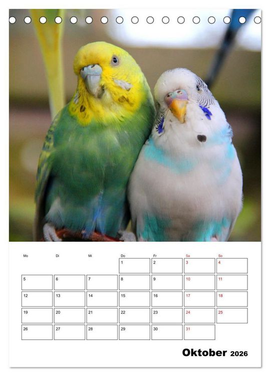 Produktbild: Der Wellensittich - mein bester Freund (Tischkalender 2026 DIN A5 hoch), CALVENDO Monatskalender