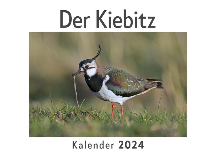 Produktbild: Der Kiebitz (Wandkalender 2024, Kalender DIN A4 quer, Monatskalender im Querformat mit Kalendarium, Das perfekte Geschenk)