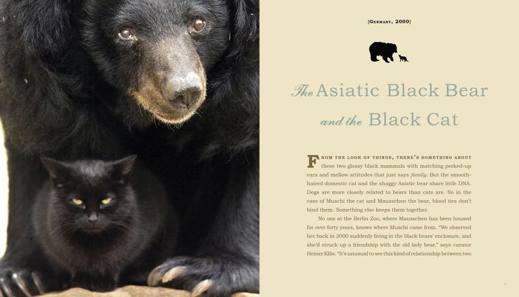 Produktbild: Unlikely Friendships