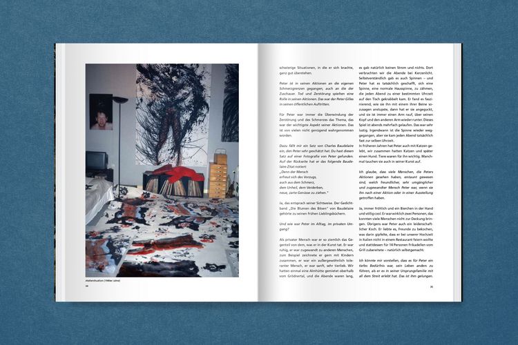 Produktbild: Peter Gilles: Am Rande des Vulkans