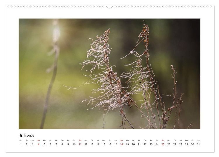 Produktbild: Zauber verg&auml;nglicher Bl&uuml;ten (hochwertiger Premium Wandkalender 2027 DIN A2 quer), Kunstdruck in Hochglanz