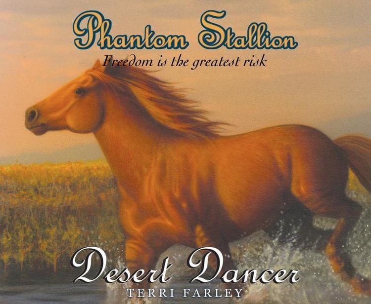 Produktbild: Phantom Stallion, 7: Desert Dancer