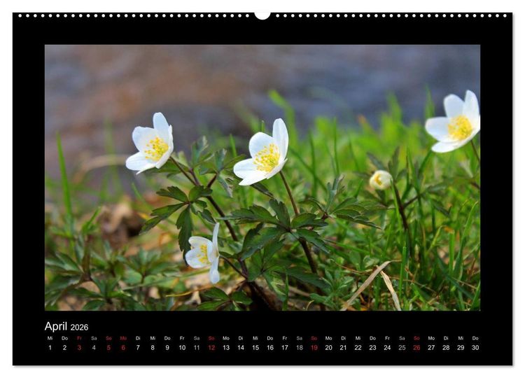 Produktbild: Landschaft Teufelsmoor / 2026 (hochwertiger Premium Wandkalender 2026 DIN A2 quer), Kunstdruck in Hochglanz