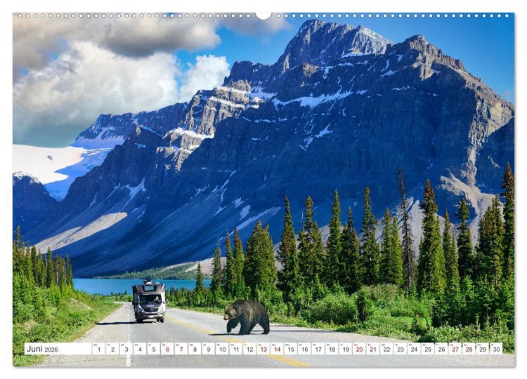 Produktbild: KANADA - Die B&auml;ren der Rocky Mountains (hochwertiger Premium Wandkalender 2026 DIN A2 quer), Kunstdruck in Hochglanz