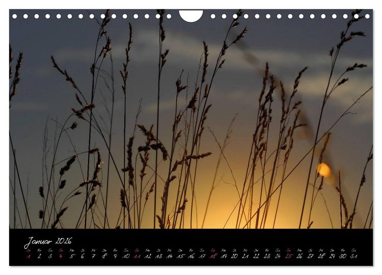 Produktbild: Zeit der Natur - Ein Augenblick zur Ewigkeit (Wandkalender 2026 DIN A4 quer), CALVENDO Monatskalender