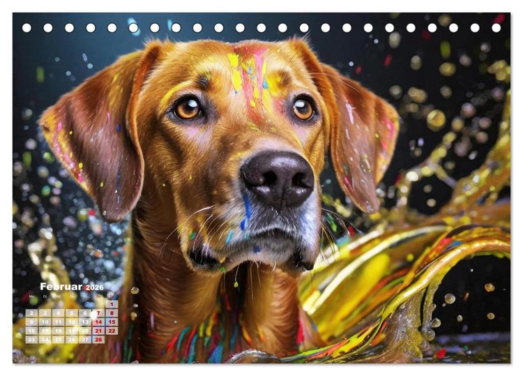 Produktbild: Splash - Hunde im Farbrausch (Tischkalender 2026 DIN A5 quer), CALVENDO Monatskalender