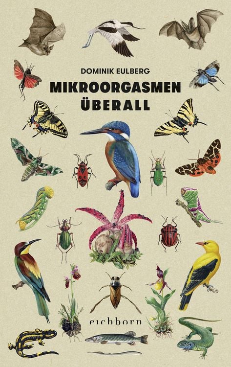 Produktbild: Mikroorgasmen &uuml;berall