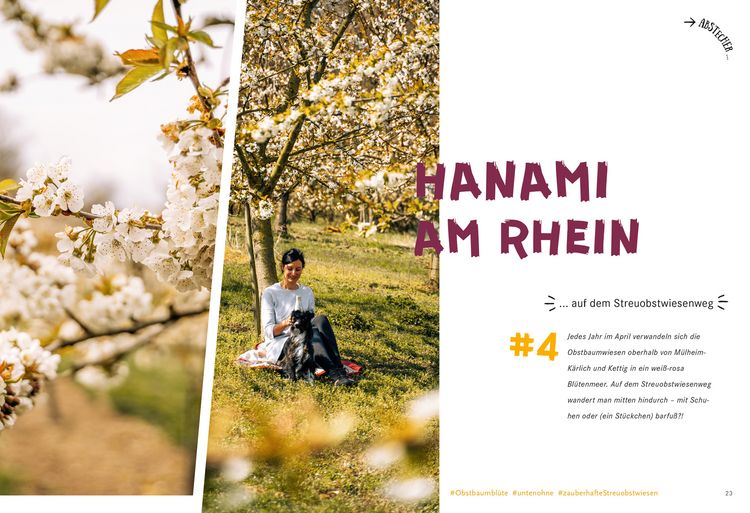 Produktbild: 52 kleine & gro&szlig;e Eskapaden am Mittelrhein