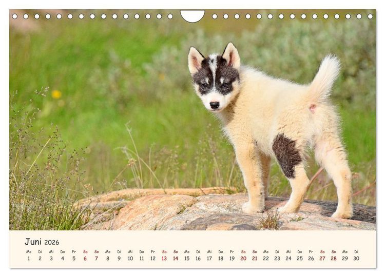 Produktbild: Gr&ouml;nland Faszinierend atemberaubend grandios (Wandkalender 2026 DIN A4 quer), CALVENDO Monatskalender