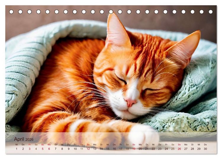 Produktbild: Rote Katzen (Tischkalender 2026 DIN A5 quer), CALVENDO Monatskalender