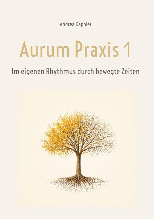 Produktbild: Aurum Praxis 1