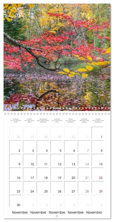 Produktbild: Relaxing Nature (Wall Calendar 2026 12 &times; 12 Inch) CALVENDO 12 Month Wall Calendar