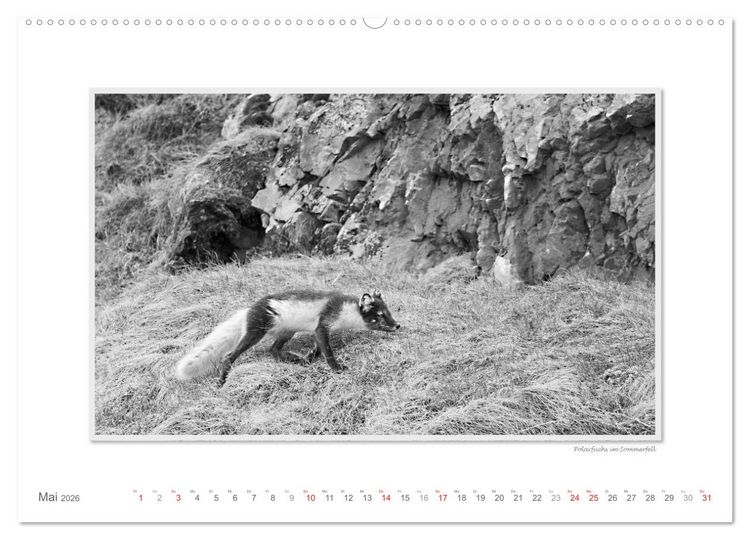Produktbild: Spitzbergen Svalbard (Wandkalender 2026 DIN A2 quer), CALVENDO Monatskalender