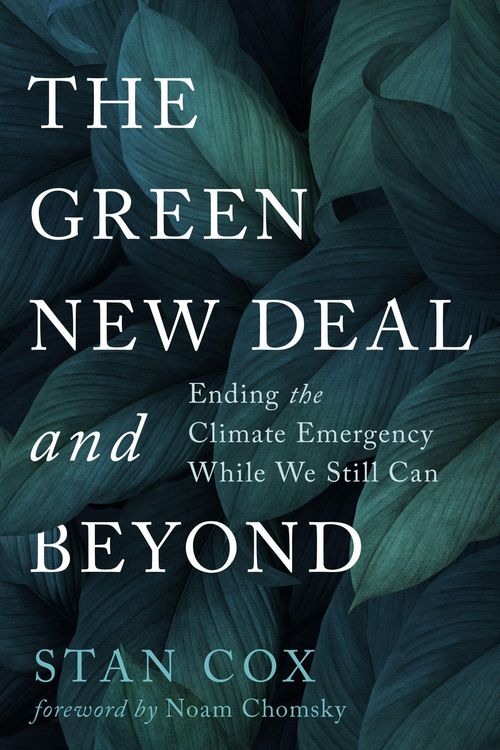 Produktbild: The Green New Deal and Beyond: Ending the Climate Emergency While We Still Can