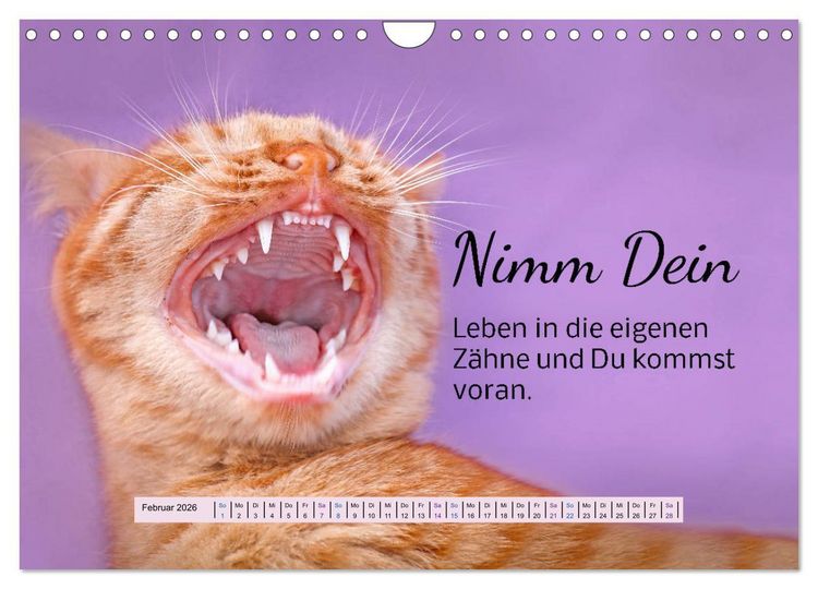 Produktbild: Der Spruchkalender - freiheraus und witzig (Wandkalender 2026 DIN A4 quer), CALVENDO Monatskalender