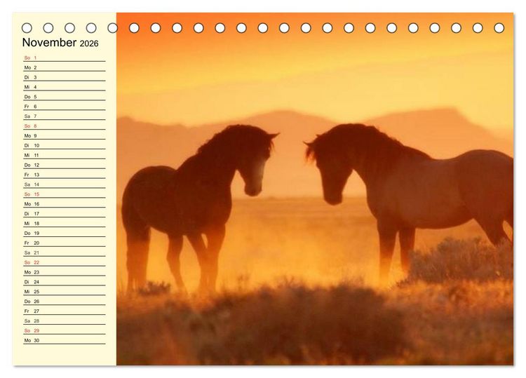 Produktbild: Wilde Pferde. Mustangs in USA (Tischkalender 2026 DIN A5 quer), CALVENDO Monatskalender