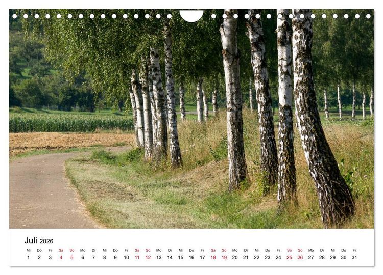 Produktbild: Wege in der Natur - Kraichgau und Enzkreis (Wandkalender 2026 DIN A4 quer), CALVENDO Monatskalender