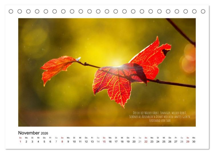 Produktbild: Bl&auml;tterreigen (Tischkalender 2026 DIN A5 quer), CALVENDO Monatskalender