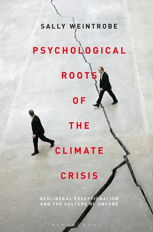 Produktbild: Psychological Roots of the Climate Crisis