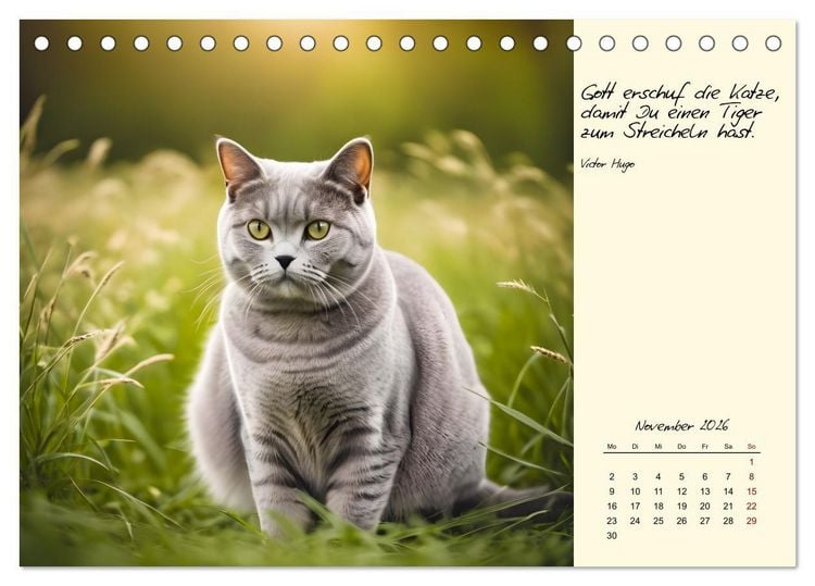 Produktbild: Katzen - Charakter und Sch&ouml;nheit (Tischkalender 2026 DIN A5 quer), CALVENDO Monatskalender