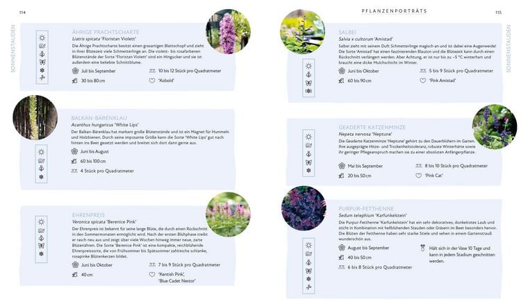 Produktbild: Bl&uuml;tenpracht und Erntegl&uuml;ck &ndash; Dein Weg zum Traumgarten