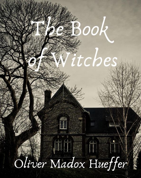 Produktbild: The book of witches