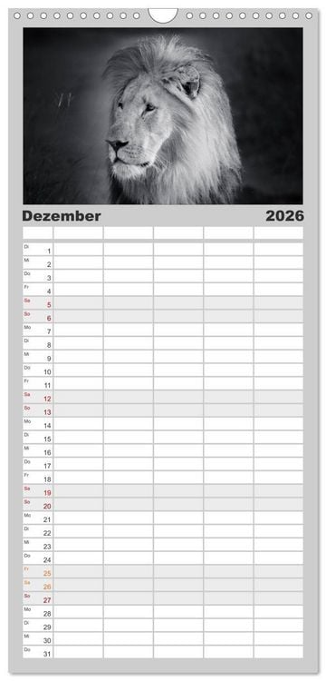 Produktbild: Familienplaner 2026 - L&ouml;wen schwarz wei&szlig; mit 5 Spalten (Wandkalender, 21 x 45 cm) CALVENDO