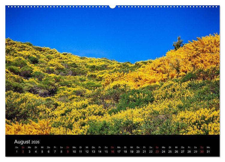 Produktbild: Naturblicke - La Palma (Wandkalender 2026 DIN A2 quer), CALVENDO Monatskalender