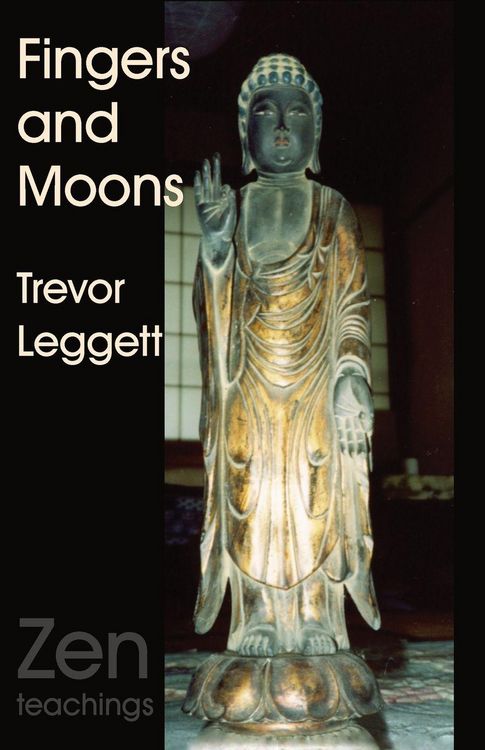 Produktbild: Fingers and Moons