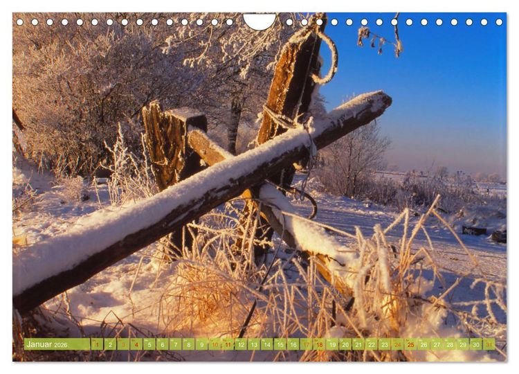 Produktbild: Landwirtschaft Natur pur Mecklenburg-Vorpommern (Wandkalender 2026 DIN A4 quer), CALVENDO Monatskalender