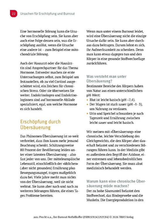 Produktbild: Der Burnout-Notfallkoffer
