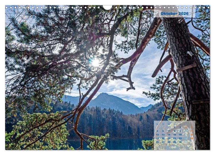 Produktbild: ALLG&Auml;U, im Wandel der Jahreszeiten. (Wandkalender 2026 DIN A3 quer), CALVENDO Monatskalender