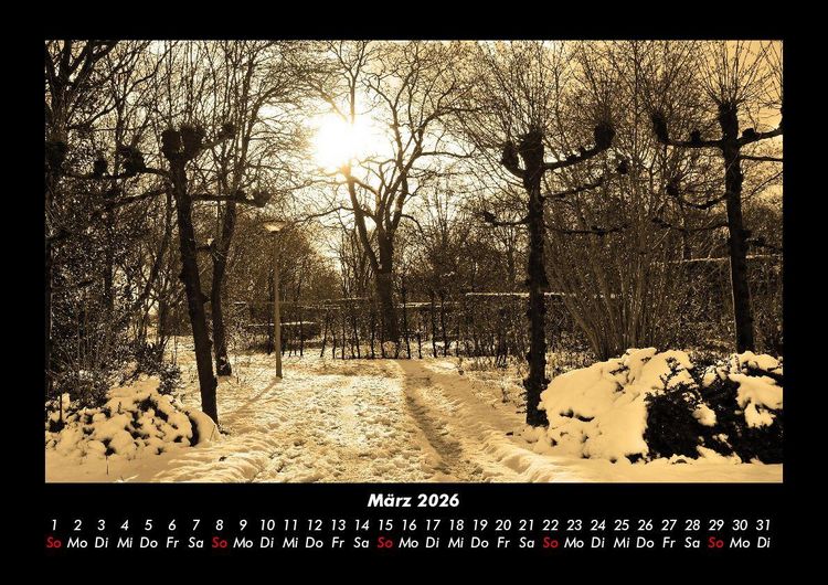 Produktbild: B&auml;ume 2026 Fotokalender DIN A3