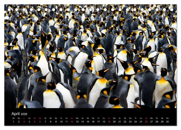 Produktbild: Antarktis 68&deg; S&uuml;d (Tischkalender 2026 DIN A5 quer), CALVENDO Monatskalender