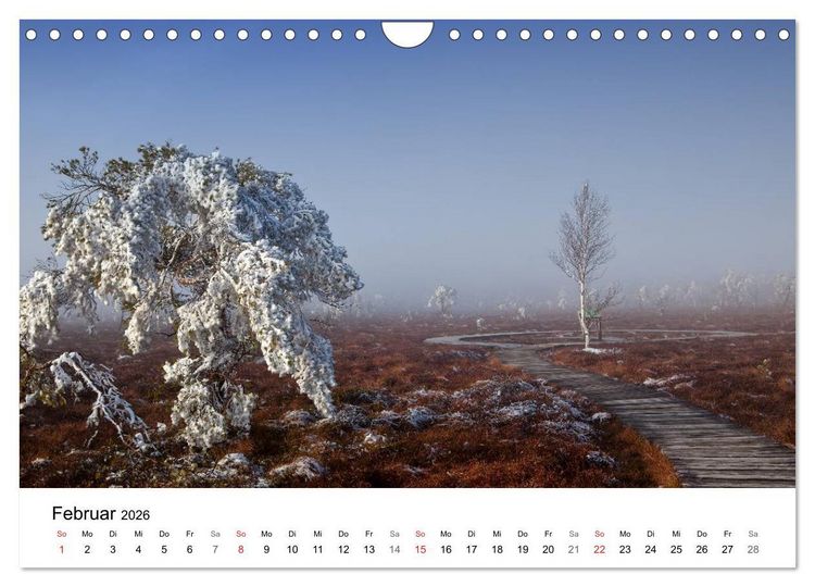 Produktbild: Auf neuen Wegen (Wandkalender 2026 DIN A4 quer), CALVENDO Monatskalender