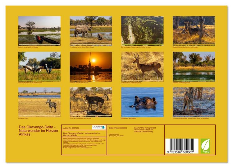 Produktbild: Das Okavango-Delta - Naturwunder im Herzen Afrikas (Wandkalender 2026 DIN A4 quer), CALVENDO Monatskalender