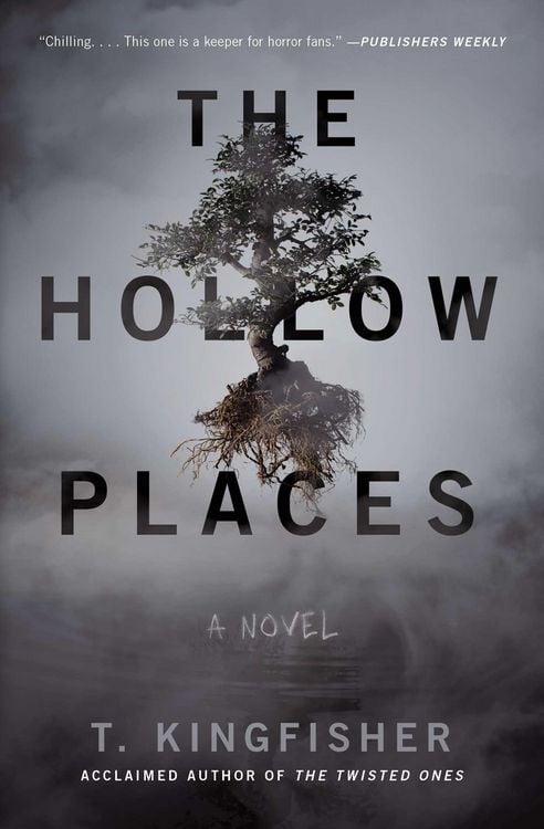Produktbild: The Hollow Places