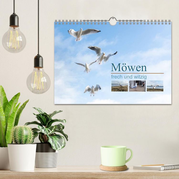 Produktbild: M&ouml;wen frech und witzig (Wandkalender 2026 DIN A4 quer), CALVENDO Monatskalender