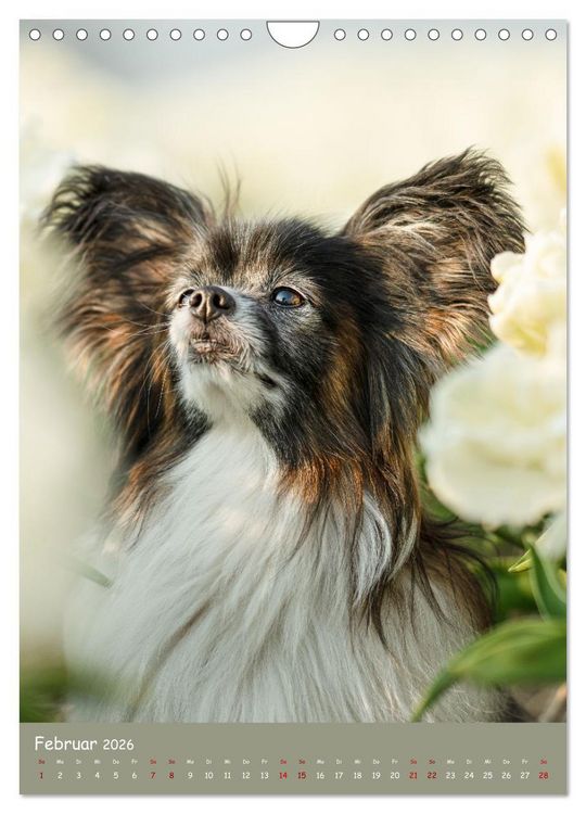 Produktbild: Flora Canidae - der Hunde-Bl&uuml;hpflanzen-Kalender (Wandkalender 2026 DIN A4 hoch), CALVENDO Monatskalender