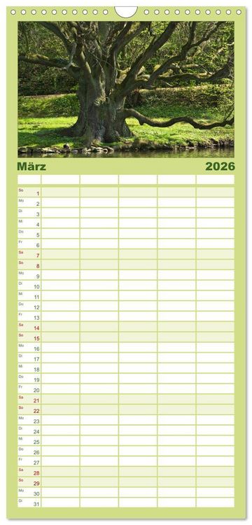 Produktbild: Familienplaner 2026 - Baum-Variationen mit 5 Spalten (Wandkalender, 21 x 45 cm) CALVENDO