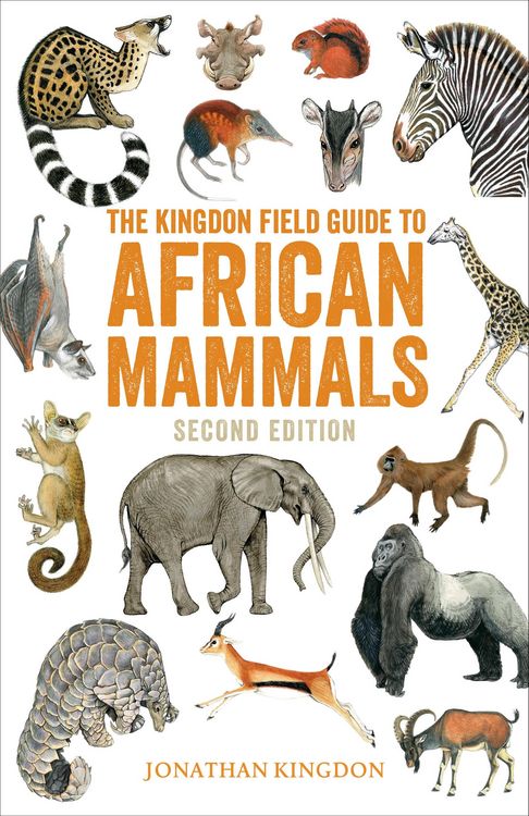 Produktbild: The Kingdon Field Guide to African Mammals