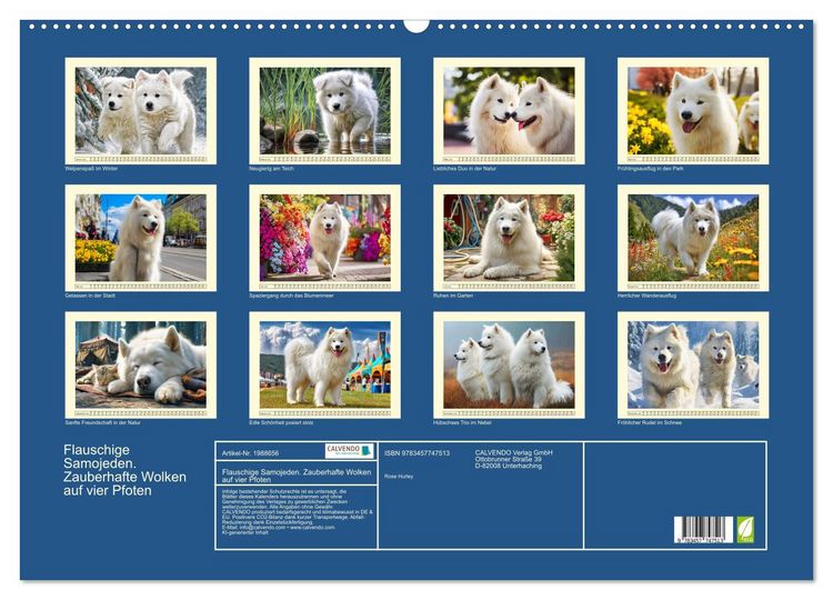 Produktbild: Flauschige Samojeden. Zauberhafte Wolken auf vier Pfoten (Wandkalender 2026 DIN A2 quer), CALVENDO Monatskalender
