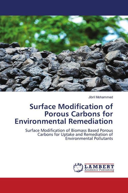 Produktbild: Surface Modification of Porous Carbons for Environmental Remediation