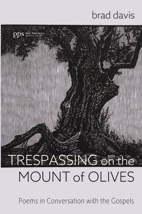 Produktbild: Trespassing on the Mount of Olives