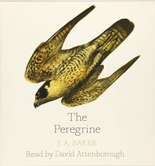 Produktbild: Baker, J: The Peregrine