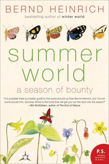 Produktbild: Summer World