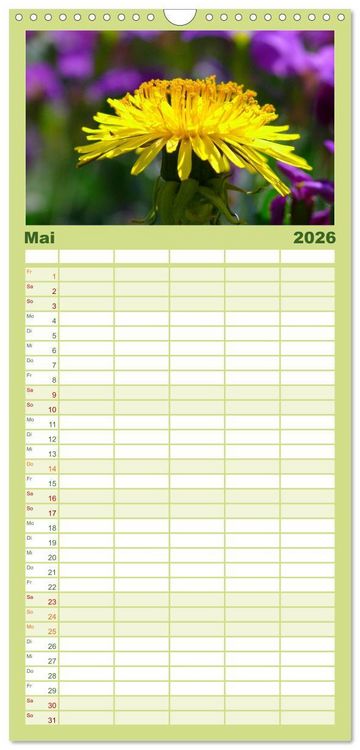 Produktbild: Familienplaner 2026 - Wildblumen 2026 mit 5 Spalten (Wandkalender, 21 x 45 cm) CALVENDO