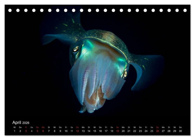Produktbild: Abgetaucht - an den K&uuml;sten vor Cura&ccedil;ao (Tischkalender 2026 DIN A5 quer), CALVENDO Monatskalender